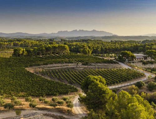 WORKING TOGETHER TOWARDS A GREAT PENEDÉS